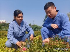 用热爱撑起一片绿荫——记甲帮苗木花卉公司关红、林达师徒