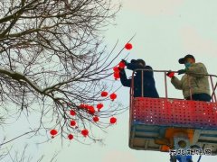 蒲白中心社区：雪打灯笼迎新年 美丽蒲白年味浓
