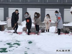 蒲白矿业技校联合党委：党员除雪当先锋 志愿服务打头阵