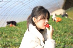 大唐辽宁新CQ9电子事业部：开展“情暖大唐，热爱生活”主题采摘活动