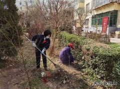 蒲白中心社区：用责任和担当“扮靓”矿区容颜