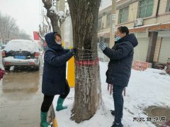 中心社区：用责任和担当“扮靓”矿区容颜