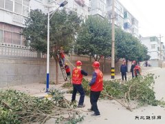 蒲白马南社区：修树剪枝解民忧 小区颜值靓起来