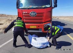 阿勒泰执法支队：Ｖ捶ù蠖蛹比褐谥保褐谂庞墙饽
