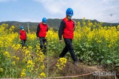 江西婺源：全力“战疫”保春耕生产供电
