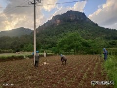 变压器故障：会泽供电局紧急抢修点亮67户山区村民