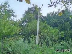 会泽供电局者海供电所水凹子小组用上优质电