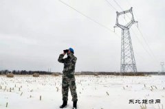 佳木斯电网：以雪为令，对抗风雪保供电