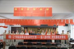 精准帮扶：党建引领乡村振兴