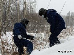 国网松岭供电公司：践行二十大精神 “一切为民”服务葆初心