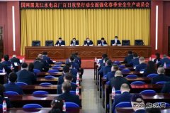 国网黑龙江水电总厂：百日攻坚开好局 奏响春检进行曲
