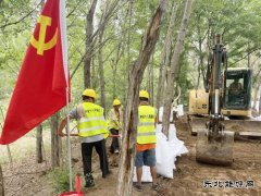 防汛勇争先，筑牢天津静海“安全堤”