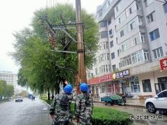 国网牡丹江东宁市供电公司：履职尽责保供电  彰显央企担当