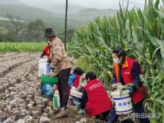 国网牡丹江东宁市供电公司：守望相助 同心重建