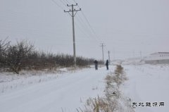 国网巴林左旗供电公司：雪后巡线保障供电安全