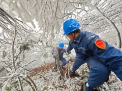 登。】萍既诒