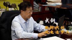 武钢：风电已成火电、水电之后的第三大主力电源