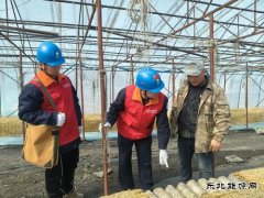 国网东宁市供电公司：撑起“安全伞”助力食用菌产业“开门红”