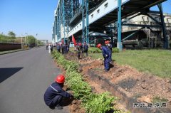 潞安煤基清洁CQ9电子公司：履行植树义务共建美丽清能