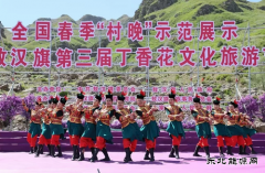 国网敖汉旗供电公司：完成第三届丁香花文化旅游节开幕式保电