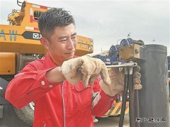 “高烤”模式下，躺平？不可能！