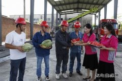 淮北双龙公司：炎炎夏日送清凉 暑消情长润人心