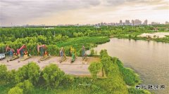 大庆油田：打造生态治理“新名片”