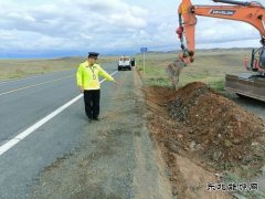 富蕴执法大队：开展路域环境整治行动 全面提升公路“颜值”