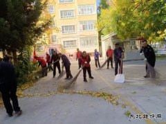 阿勒泰执法支队哈巴河执法大队：党员志愿服务在行动