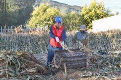 国网巴林左旗供电公司：“满格电”助力小笤帚大产业