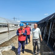 国网牡丹江东宁市供电公司：服务菌农 助力木耳产业用电安全