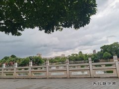 雨 夜