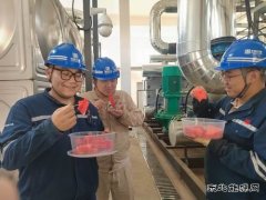 大唐葫芦岛热力公司：开出高温炙烤应对“凉”方