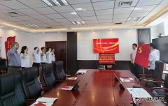国网阿鲁科尔沁旗供电公司：开展主题党日活动
