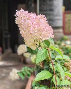 写给秋天