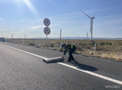 哈巴河执法大队：精细化巡查筑牢辖区公路安全防线