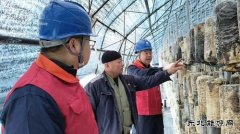 国网牡丹江东宁市供电：护航秋收保丰产 暖心服务助“耳”香