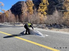 哈巴河执法大队：清理路面杂物，保障公路畅通