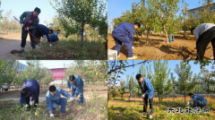 国网宁城县供电公司：“青年林”开讲，助力新员工启航