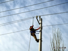 国网阿鲁科尔沁旗供电：全力冲刺！推进农配网工程建设进度