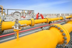 吉林油田双坨子储气库：聚焦设备 精细管理